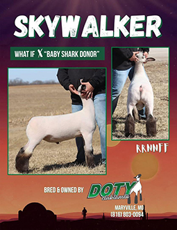 Skywalker