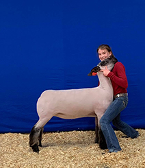 Doty CLub Lambs Winners