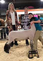 Doty Club Lambs Winners