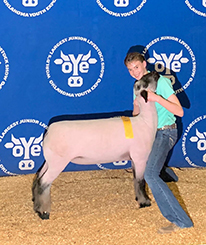 Doty CLub Lambs Winners