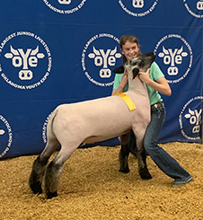 Doty CLub Lambs Winners