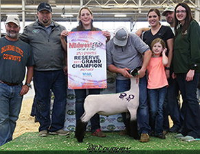 Doty CLub Lambs Winners