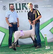 Doty Club Lambs For Sale