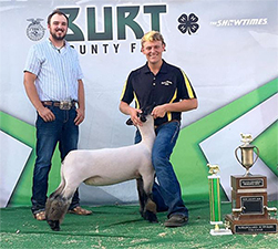 Doty Club Lambs for Sale