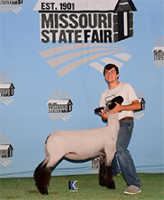 Doty Club Lambs For Sale
