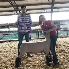Doty Club Lambs For Sale
