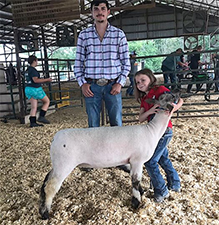Doty Club Lambs For Sale