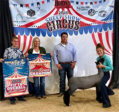 Doty Club Lambs Winners