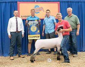 Doty Club Lambs Winners