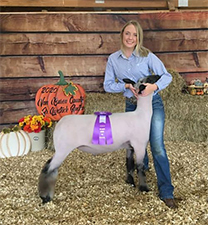 Doty Club Lambs For Sale