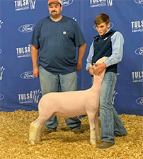 Doty Club Lambs For Sale