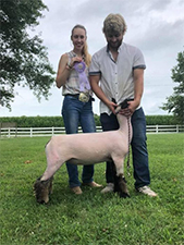Doty Club Lambs For Sale