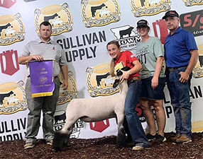 Doty Club Lambs Winners